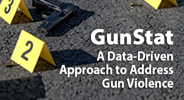 GunStat: A Data-Driven Approach to Address Gun Violence